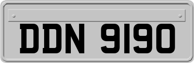 DDN9190