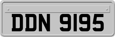 DDN9195