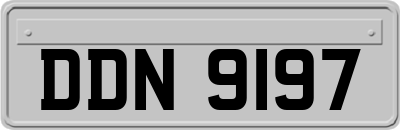 DDN9197