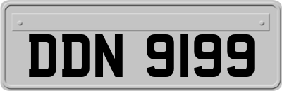 DDN9199