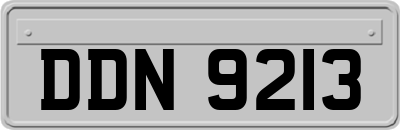 DDN9213