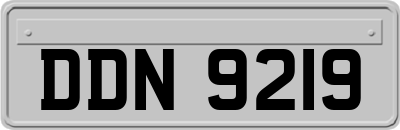 DDN9219