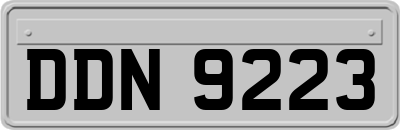 DDN9223