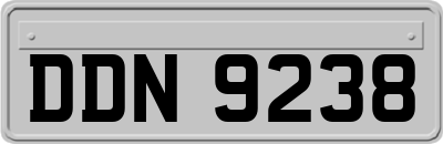 DDN9238