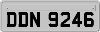 DDN9246