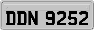 DDN9252