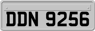 DDN9256