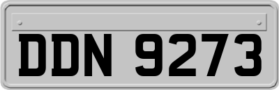 DDN9273