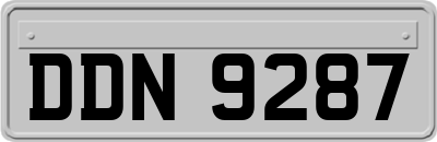 DDN9287