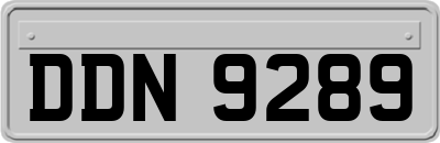 DDN9289