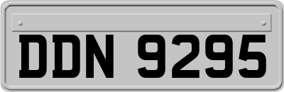 DDN9295