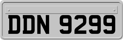 DDN9299