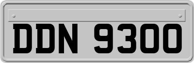 DDN9300