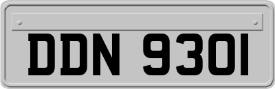DDN9301