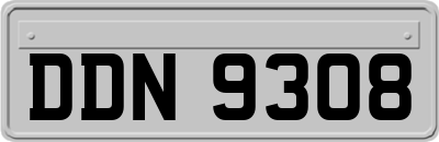 DDN9308