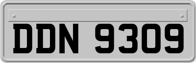 DDN9309