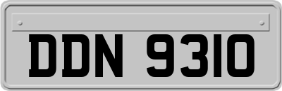 DDN9310