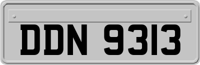 DDN9313