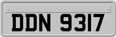 DDN9317