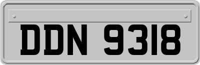 DDN9318