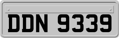 DDN9339