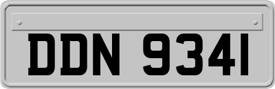 DDN9341