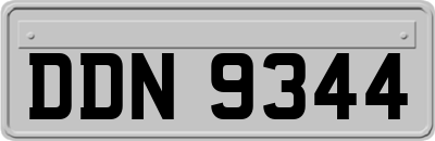 DDN9344