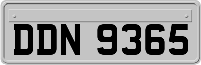 DDN9365