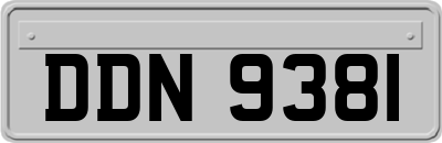 DDN9381
