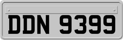 DDN9399