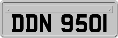 DDN9501