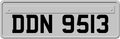 DDN9513