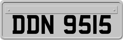 DDN9515
