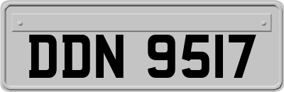 DDN9517