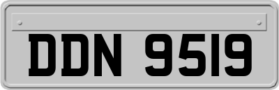 DDN9519