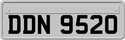 DDN9520