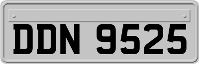 DDN9525