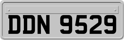 DDN9529