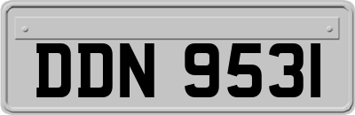 DDN9531