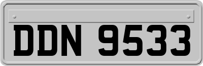 DDN9533