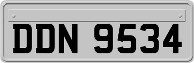 DDN9534