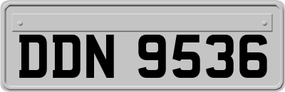DDN9536