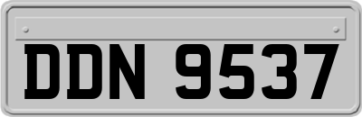 DDN9537