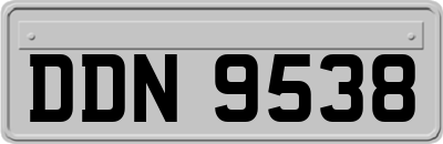 DDN9538