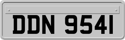 DDN9541