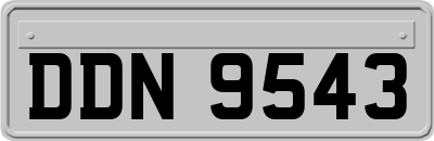 DDN9543