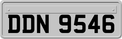 DDN9546