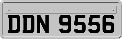 DDN9556