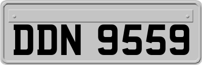 DDN9559