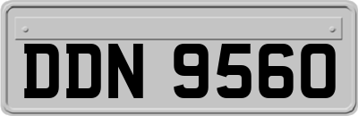 DDN9560